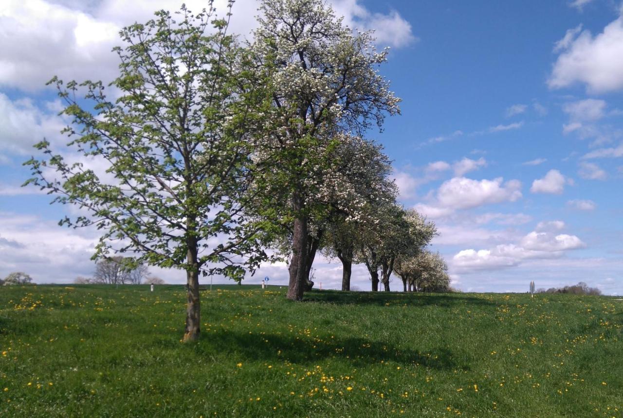 Familienbauernhof Strassbauer Steinakirchen Am Forst Exterior foto
